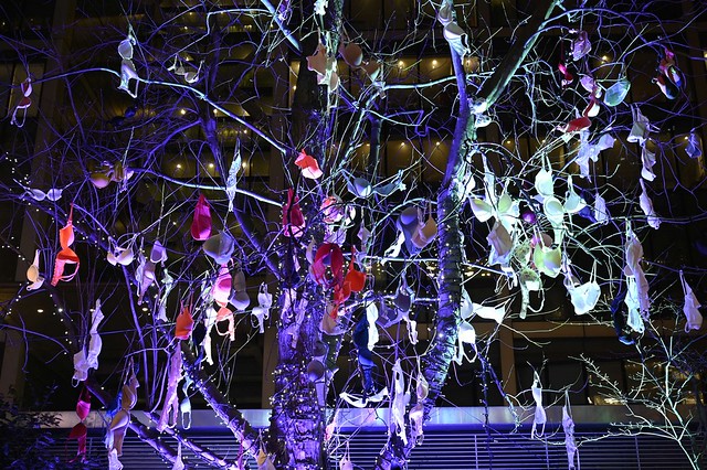 The Bra Tree